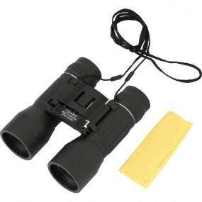 Binoculars. 10 x 42 magnification